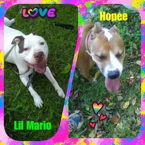 Meet your Posher, Karebear